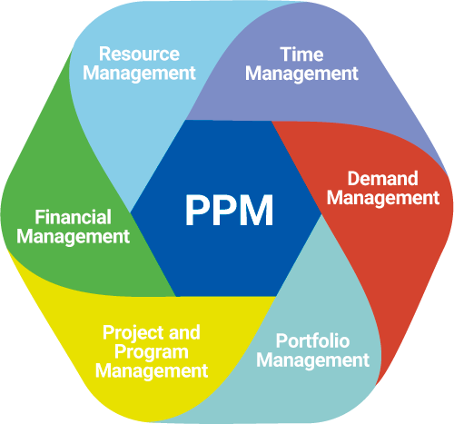 CIS-PPM